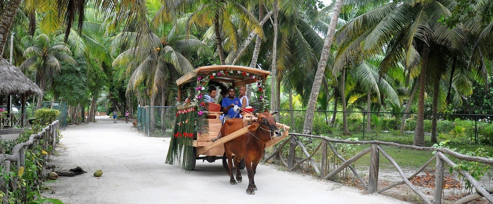 MOONLIGHT BEACH VILLAS - La Digue