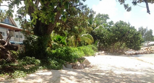 MOONLIGHT BEACH VILLAS - La Digue